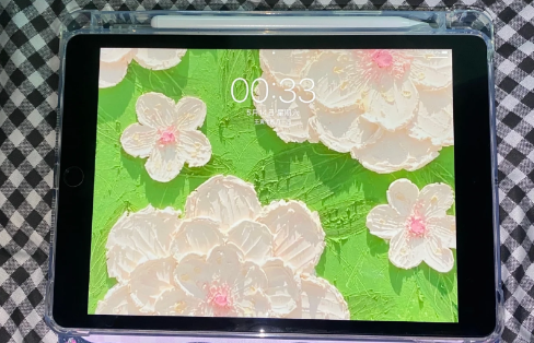 iPad10是什么屏幕2