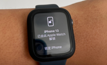 applewatch怎么不能帮助手机识别人脸了1