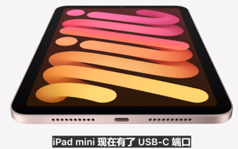 ipadmini6充电口是什么样的2