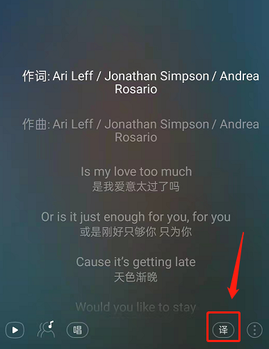 网易云音乐如何关闭歌词中文翻译?网易云音乐关闭歌词中文翻译教程截图