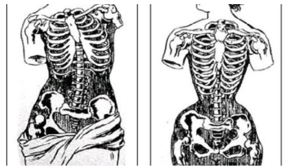 束腰带真的能瘦腰吗2