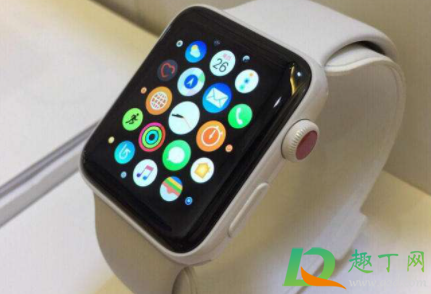 Wristcam Apple Watch表带多少钱5