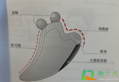 refa刮痧板可以用水冲洗吗3